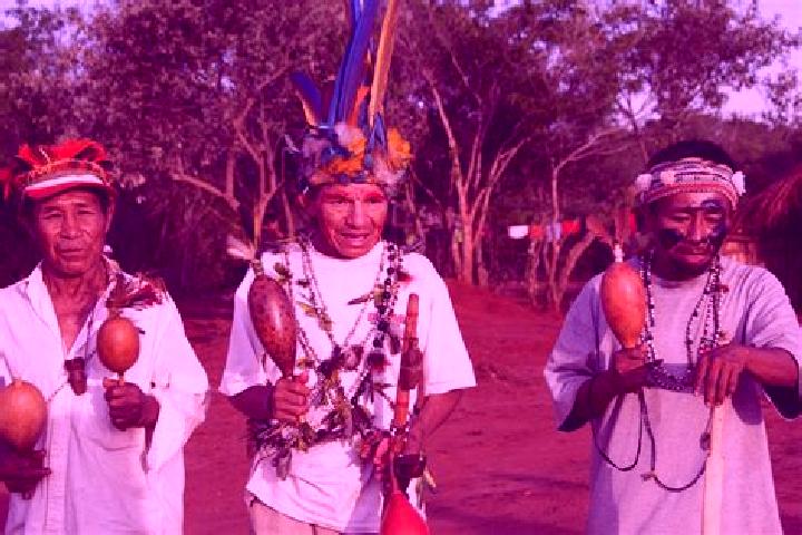 Escorts Guarani de Goias, Brazil — Local Companions