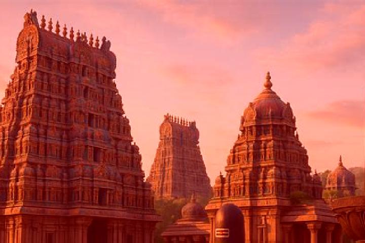 Escorts Gudiyatham, India — Local Companions