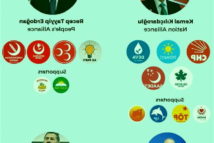 Escorts Gueneyce, Turkey — Local Companions