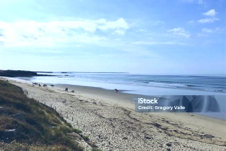 Escorts Guidel-Plage, France — Local Companions