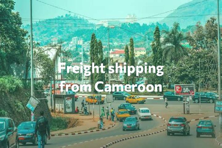 Escorts Guider, Cameroon — Local Companions