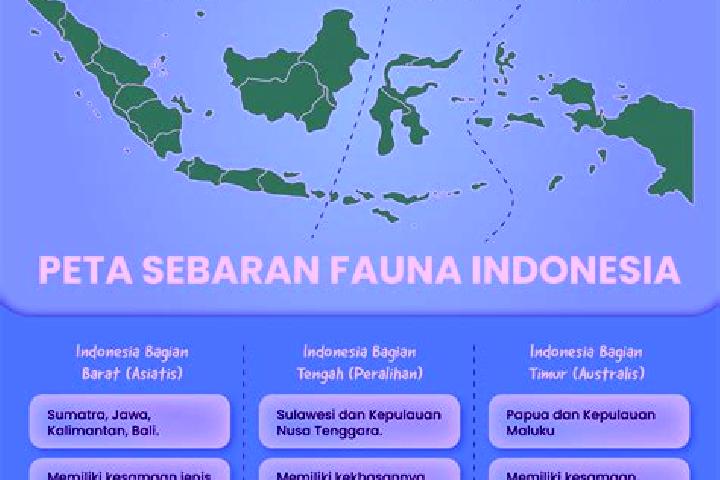 Escorts Gumuk Tengah, Indonesia — Local Companions