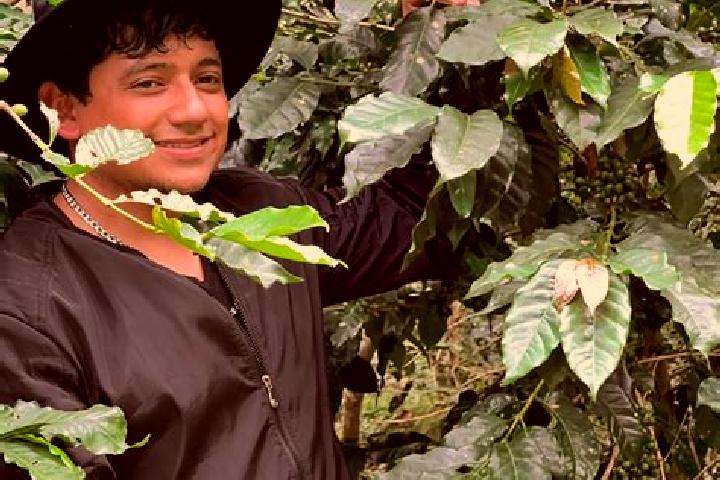 Escorts Guzmantla, Mexico — Local Companions