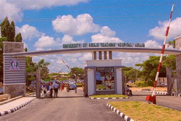 Escorts Gwagwalada, Nigeria — Local Companions