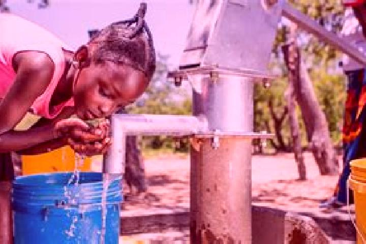 Escorts Gwembe, Zambia — Local Companions