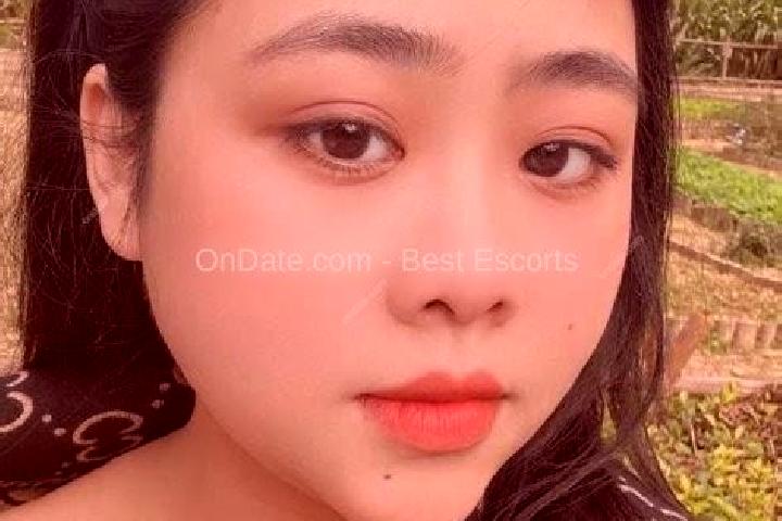 Escorts Ha Trung, Vietnam — Local Companions