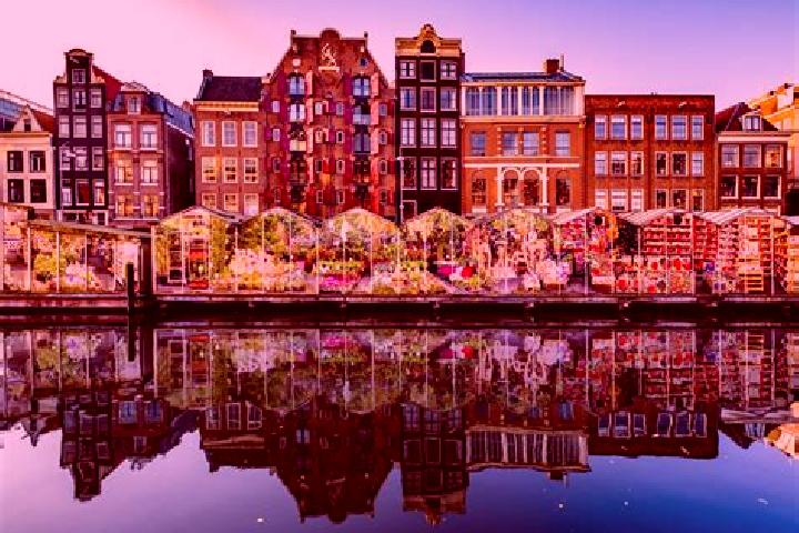 Escorts Haaften, Netherlands — Local Companions