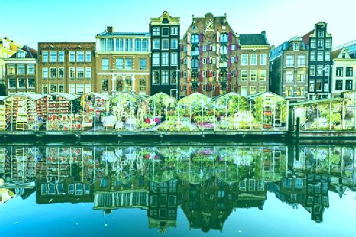 Escorts Haarle, Netherlands — Local Companions