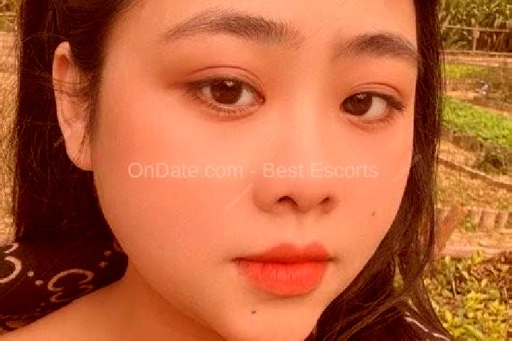 Escorts Hai Chau, Vietnam — Local Companions