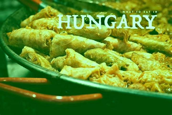 Escorts Halaszi, Hungary — Local Companions