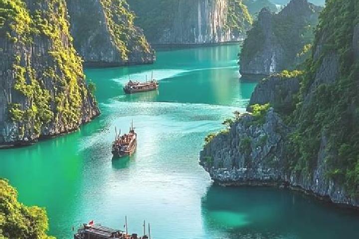 Escorts Halong, Indonesia — Local Companions