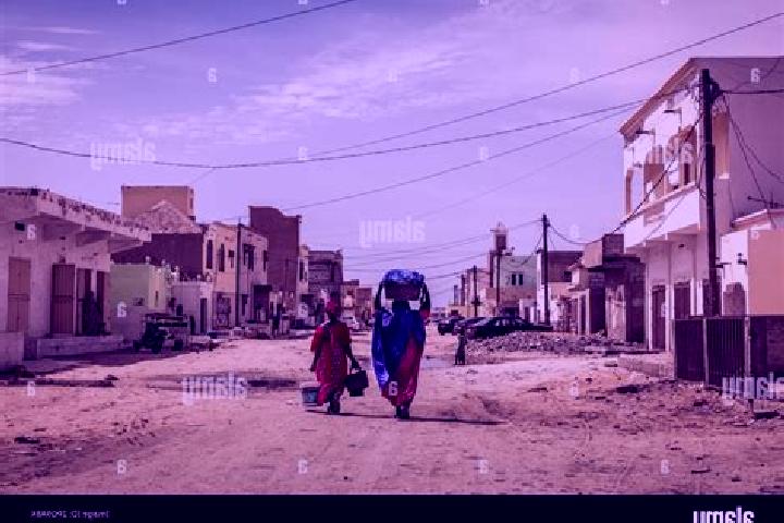 Escorts Hamoud, Mauritania — Local Companions