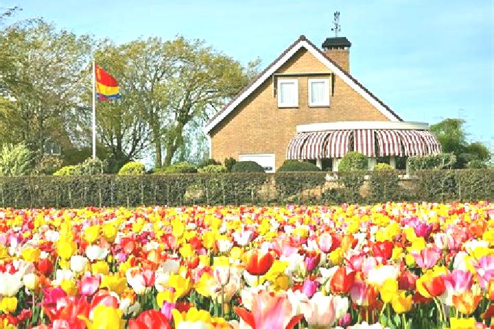 Escorts Hapert, Netherlands — Local Companions