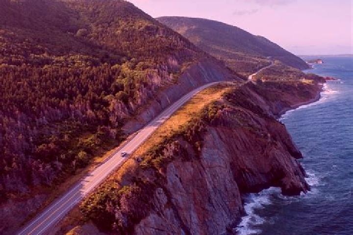 Escorts Harbour Breton, Canada — Local Companions