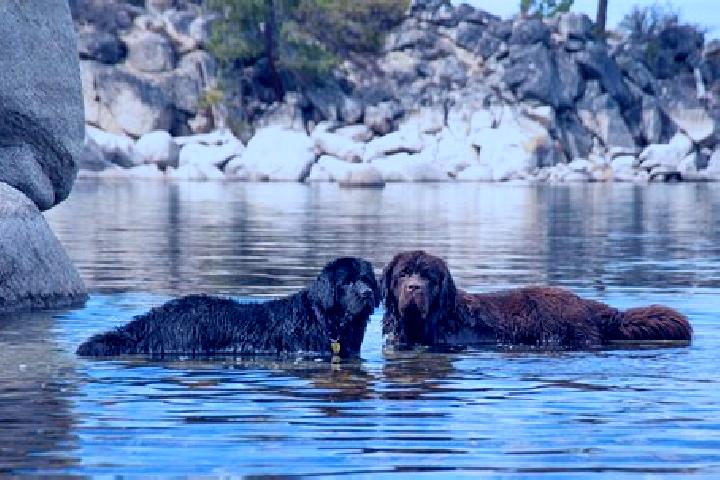 Escorts Hare Bay, Canada — Local Companions