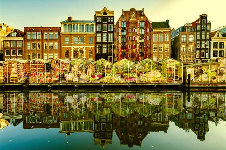 Escorts Harlingen, Netherlands — Local Companions