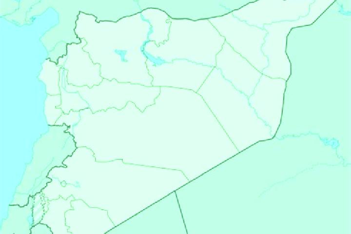 Escorts Harran al Awamid, Syria — Local Companions