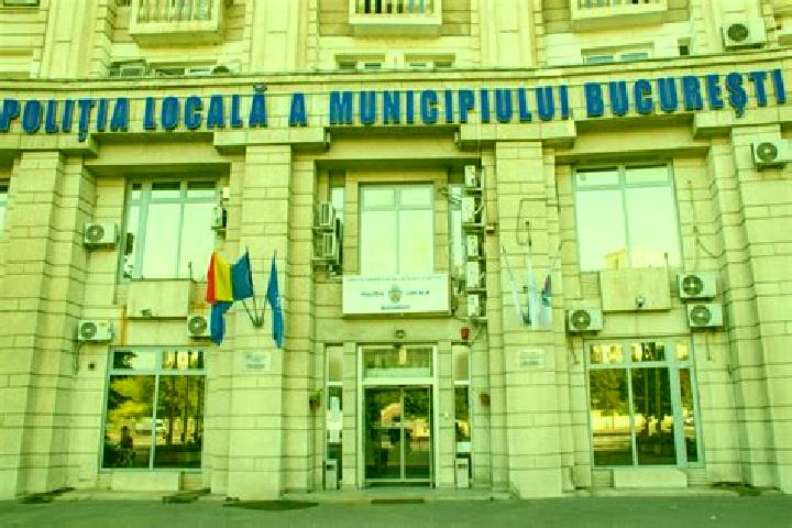 Escorts Harsova, Romania — Local Companions