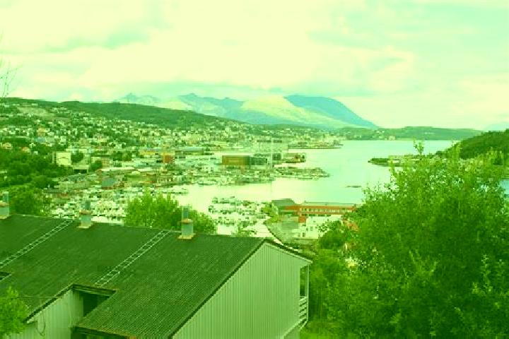 Escorts Harstad, Norway — Local Companions