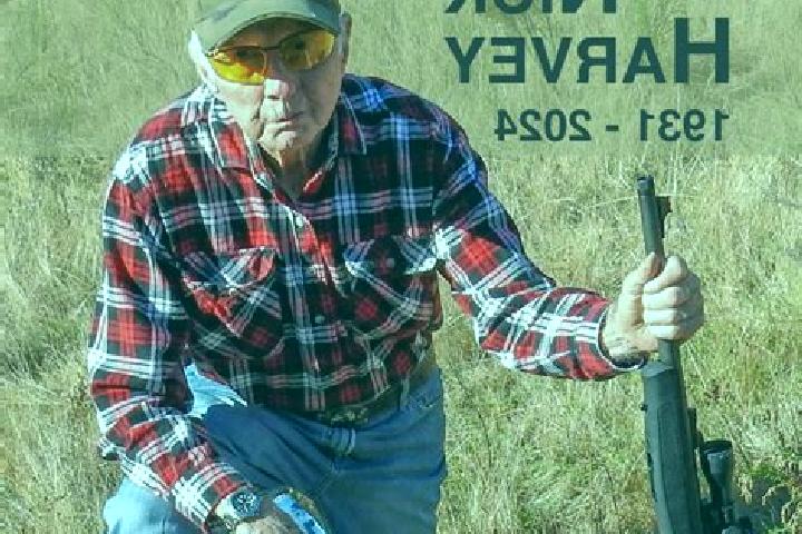 Escorts Harvey, Australia — Local Companions