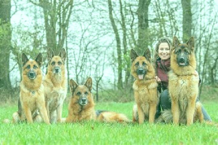 Escorts Hassmoor, Germany — Local Companions