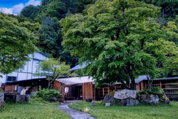 Escorts Hatcho-muta, Japan — Local Companions