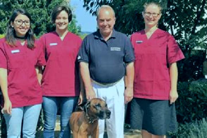 Escorts Hausen am Bussen, Germany — Local Companions