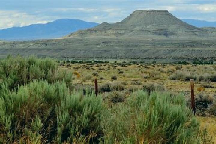 Escorts Heart Butte, United States — Local Companions