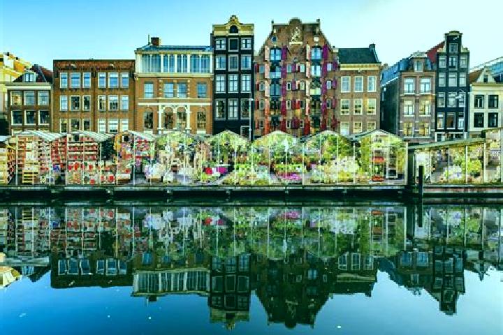 Escorts Heemstede, Netherlands — Local Companions