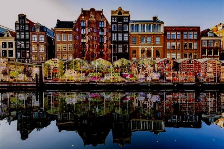 Escorts Heerenveen, Netherlands — Local Companions