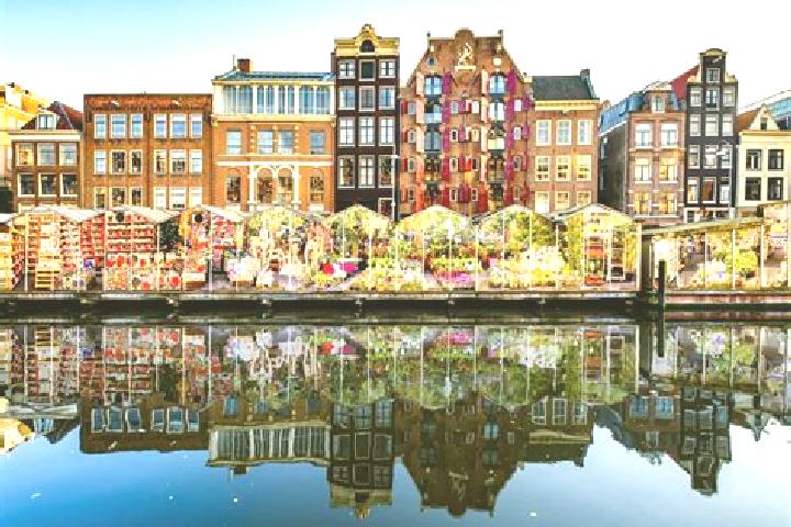 Escorts Hengevelde, Netherlands — Local Companions