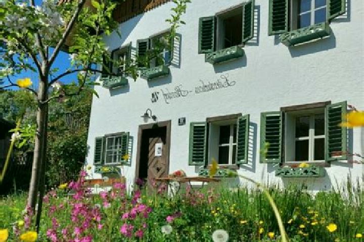 Escorts Henndorf am Wallersee, Austria — Local Companions