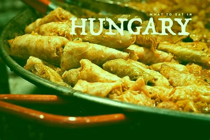 Escorts Hercegszanto, Hungary — Local Companions