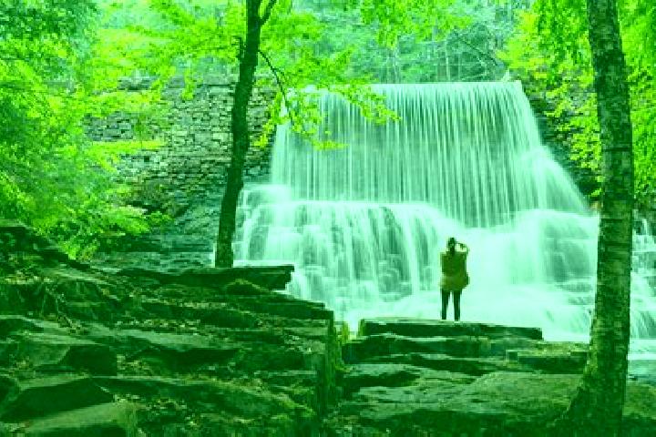 Escorts Hickory Creek, United States — Local Companions