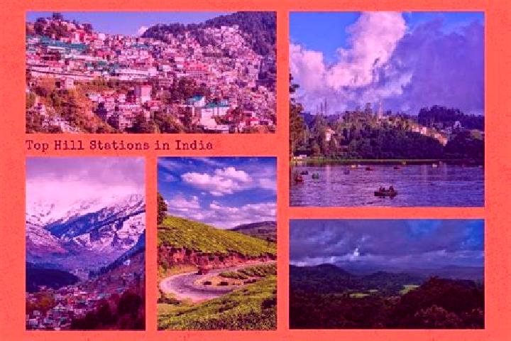 Escorts Hill Town, India — Local Companions