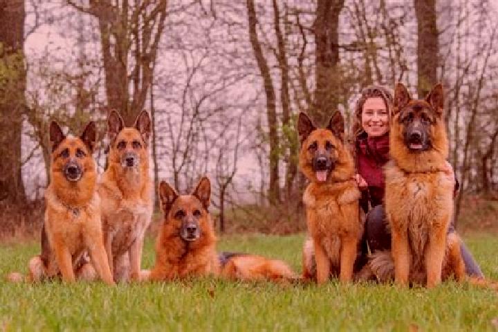 Escorts Hilpoltstein, Germany — Local Companions