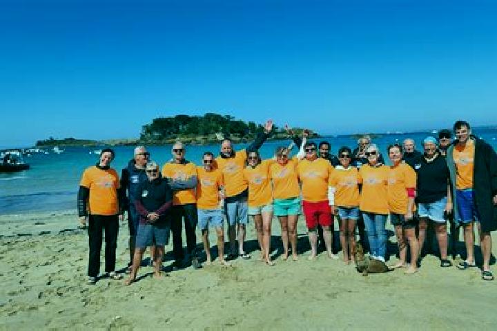 Escorts Hirel, France — Local Companions