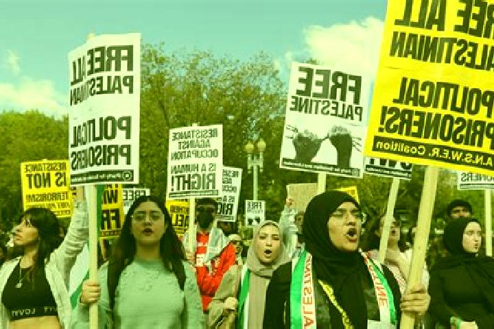 Escorts Hizma, Palestine — Local Companions