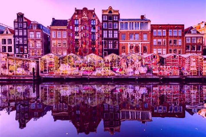 Escorts Hoek, Netherlands — Local Companions