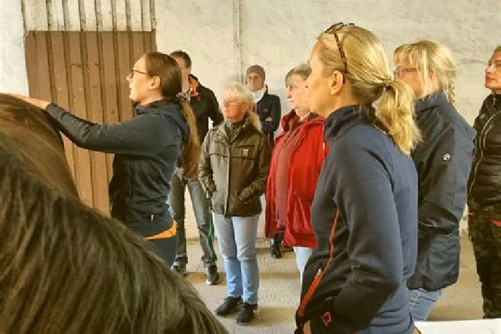 Escorts Hoeloe, Sweden — Local Companions