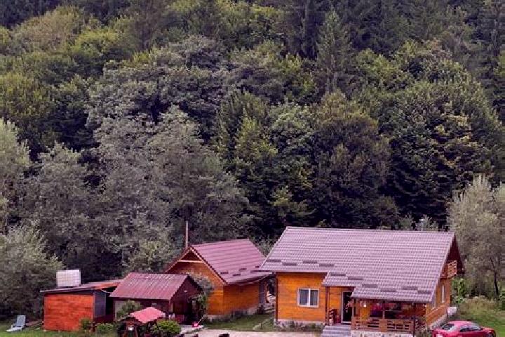 Escorts Holbav, Romania — Local Companions