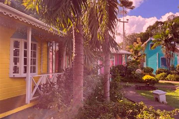 Escorts Holetown, Barbados — Local Companions