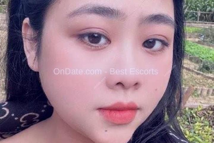 Escorts Hong Bac, Vietnam — Local Companions