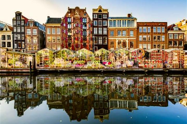 Escorts Honselersdijk, Netherlands — Local Companions