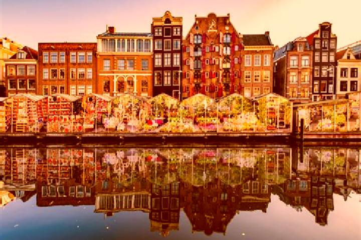 Escorts Hoogbraak, Netherlands — Local Companions