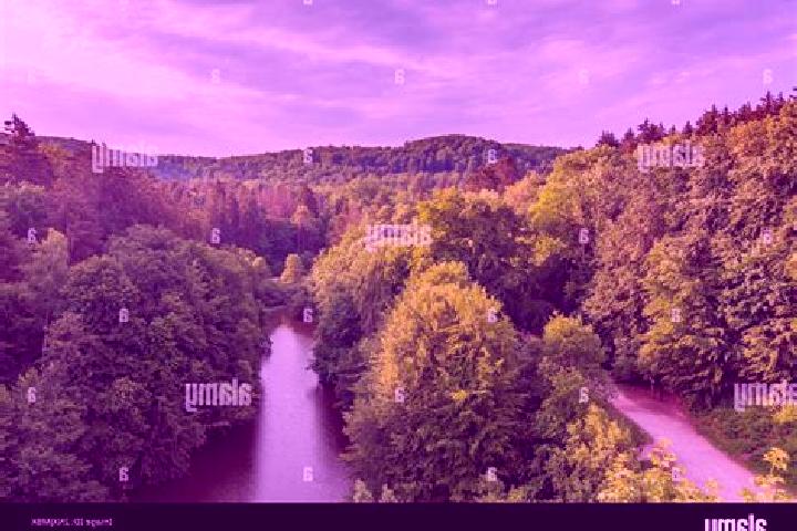 Escorts Horn-Bad Meinberg, Germany — Local Companions