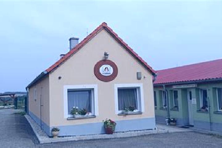 Escorts Horni Mecholupy, Czech Republic — Local Companions