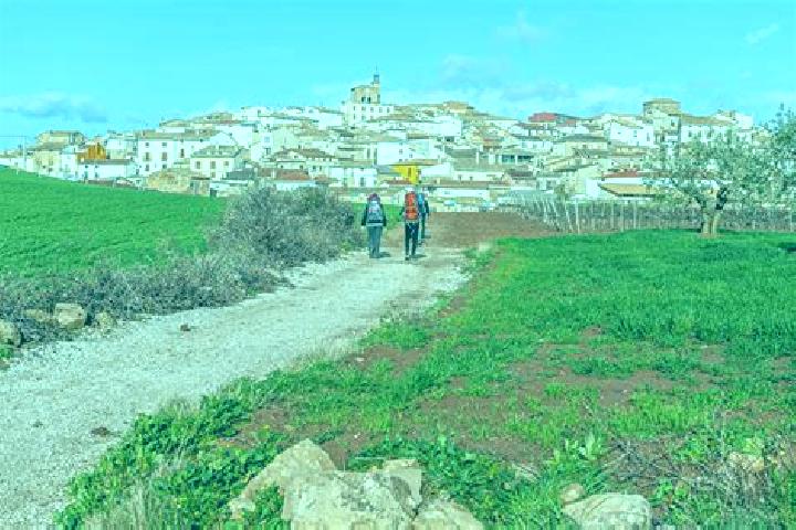 Escorts Hornillos del Camino, Spain — Local Companions