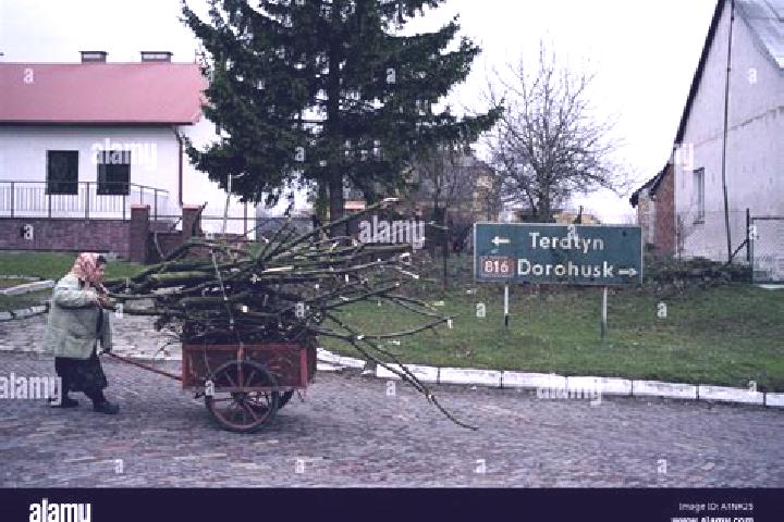 Escorts Horodlo, Poland — Local Companions