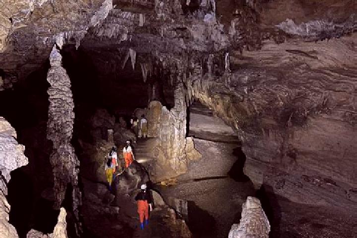 Escorts Horse Cave, United States — Local Companions